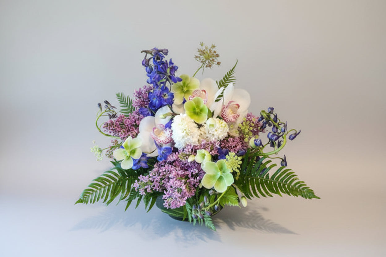 Apollo's Celestial Symphony