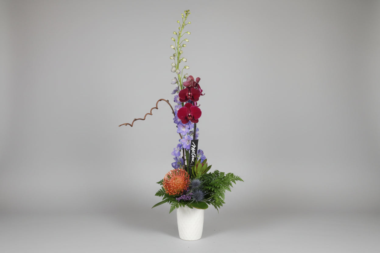 Hesperus' Enchanted Garden