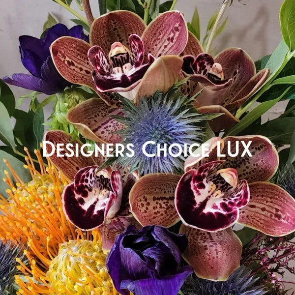 Designers Choice LUX