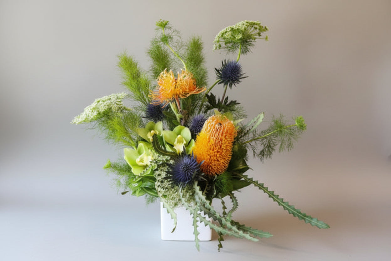 Apollo's Golden Glow